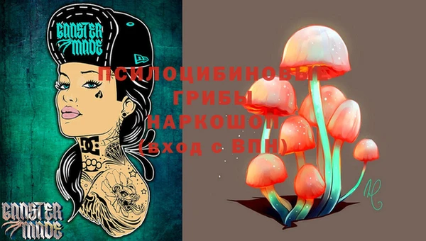 молекула духа Аркадак